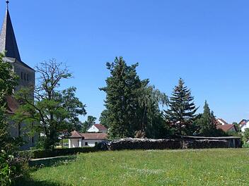 Die blühende Sommerwiese wird bald den Baufahrzeugen weichen, denn nordöstlich der Breitbrunner Kirche entsteht ein Baugebiet für Wohnhäuser. Foto: Sabine Meissner