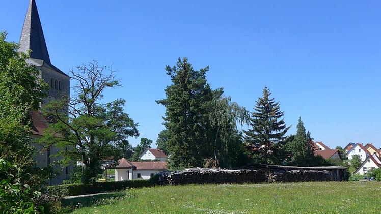 Die blühende Sommerwiese wird bald den Baufahrzeugen weichen, denn nordöstlich der Breitbrunner Kirche entsteht ein Baugebiet für Wohnhäuser. Foto: Sabine Meissner