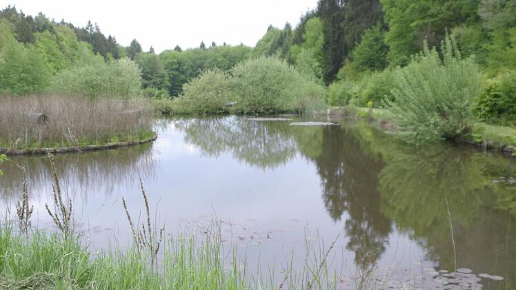 Die Fischweiher in Aura sind immer einen Spaziergang wert. Sie stehen zur Verpachtung und vielleicht auch zum Verkauf an.  Foto: Winfried Ehling