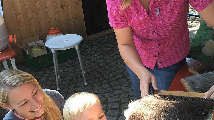 Kleine Besucher durften unter anderem Schafwolle auskämmen. Foto: Michael Memmel