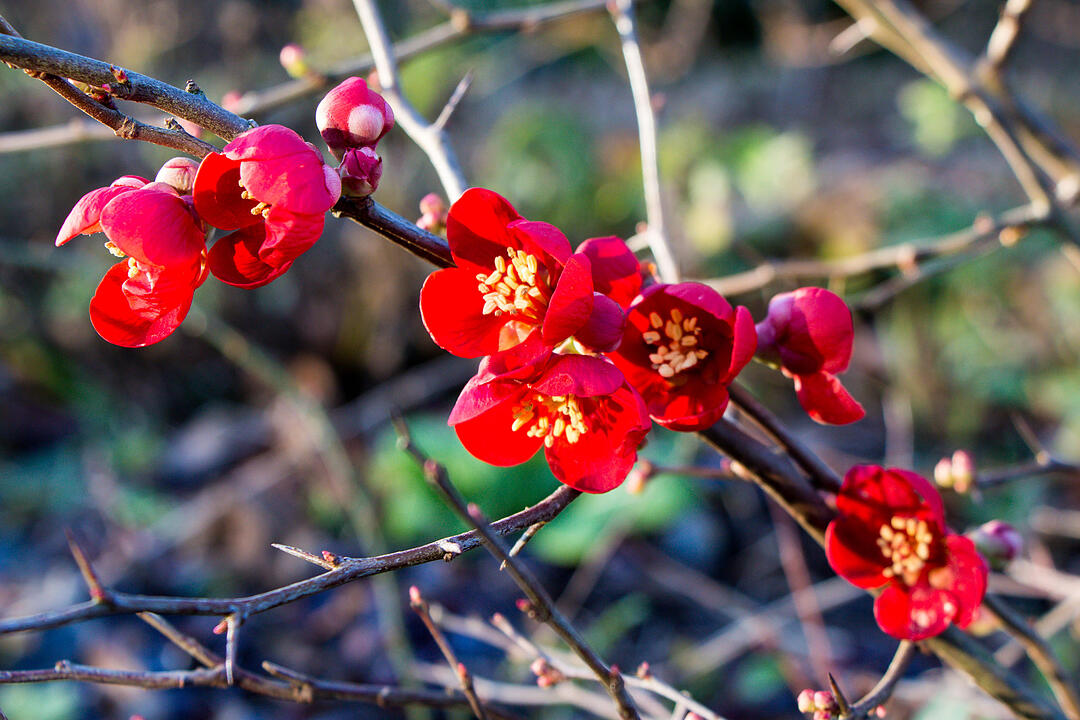 Fotos Konrad Thomann