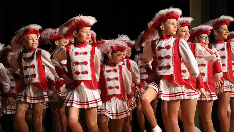 Prunksitzung 2019 in Stadtsteinach. Foto: Jürgen Gärtner