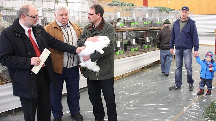 Dieses Angora-Prachtstück von Jürgen Sandmann bewundern Bürgermeister Robert Herrmann und Vereinsvorsitzender Udo Güßbacher.
