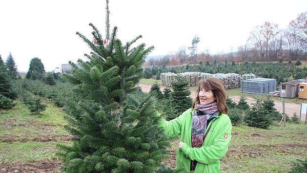 An diesem Baum entdeckt Doris Geyer bereits ein Namensschild. Der, der es angebracht hat, darf sich dem Baum auch selbst abs&auml;gen.   Foto: Andreas Dorsch