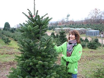 An diesem Baum entdeckt Doris Geyer bereits ein Namensschild. Der, der es angebracht hat, darf sich dem Baum auch selbst absägen.   Foto: Andreas Dorsch