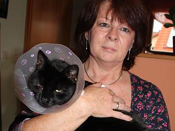 Regina Sorgler mit ihrem Kater Nero, der eine Halskrause bekommen hat, damit er die Schusswunde nicht aufkratzen kann. Foto: Peter Groscurth