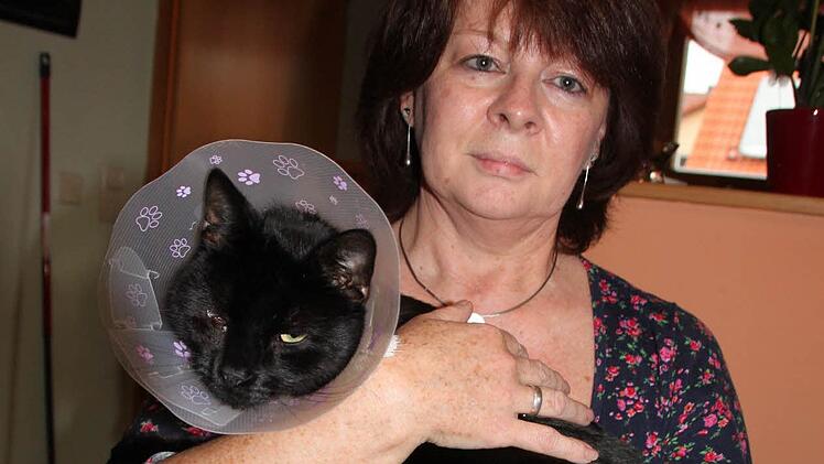 Regina Sorgler mit ihrem Kater Nero, der eine Halskrause bekommen hat, damit er die Schusswunde nicht aufkratzen kann. Foto: Peter Groscurth