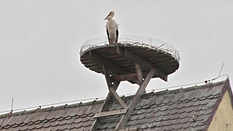 Auf dem Dach der ehemaligen Baywa in Pfarrweisach saß am Montag längere Zeit ein Storch und holte sogar Nistmaterial herbei, wie Michael Groß beobachtete. Foto: Helmut Will