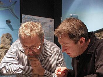 Was aussieht wie ein Wesen aus dem Film "Alien", ist der präparierte Kopf eines Temnodontosaurus. Stefan Eggmaier (rechts) hat das Urvieh in der Tongrube Mistelgau entdeckt. Für Joachim Rabold, Leiter des Urwelt-Museums Bayreuth, ist es ein Herzstück der Ausstellung. Foto: Nützel