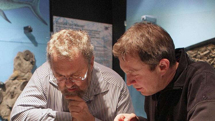 Was aussieht wie ein Wesen aus dem Film "Alien", ist der präparierte Kopf eines Temnodontosaurus. Stefan Eggmaier (rechts) hat das Urvieh in der Tongrube Mistelgau entdeckt. Für Joachim Rabold, Leiter des Urwelt-Museums Bayreuth, ist es ein Herzstück der Ausstellung. Foto: Nützel