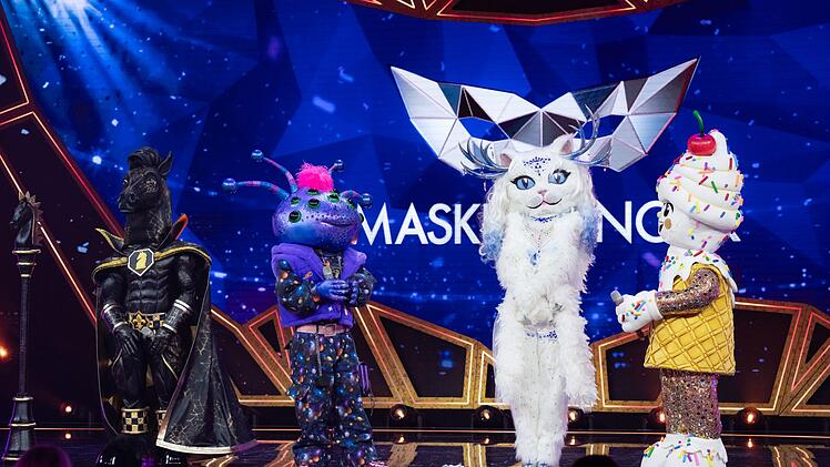 Die Masken "P.S.", Cosma, Yeti Cat und Luigi Eish&ouml;rnchen (von links) gaben alles, um das Halbfinale zu erreichen. Das klappte aber nur f&uuml;r zwei ...