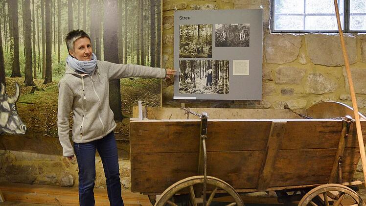 Museumsleiterin Chris Loos führt durch die neue Ausstellung im Gerätemuseum Ahorn. Foto: Rainer Lutz