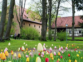 Frühling im Aschacher Schlosshof; Foto: Werner Vogel