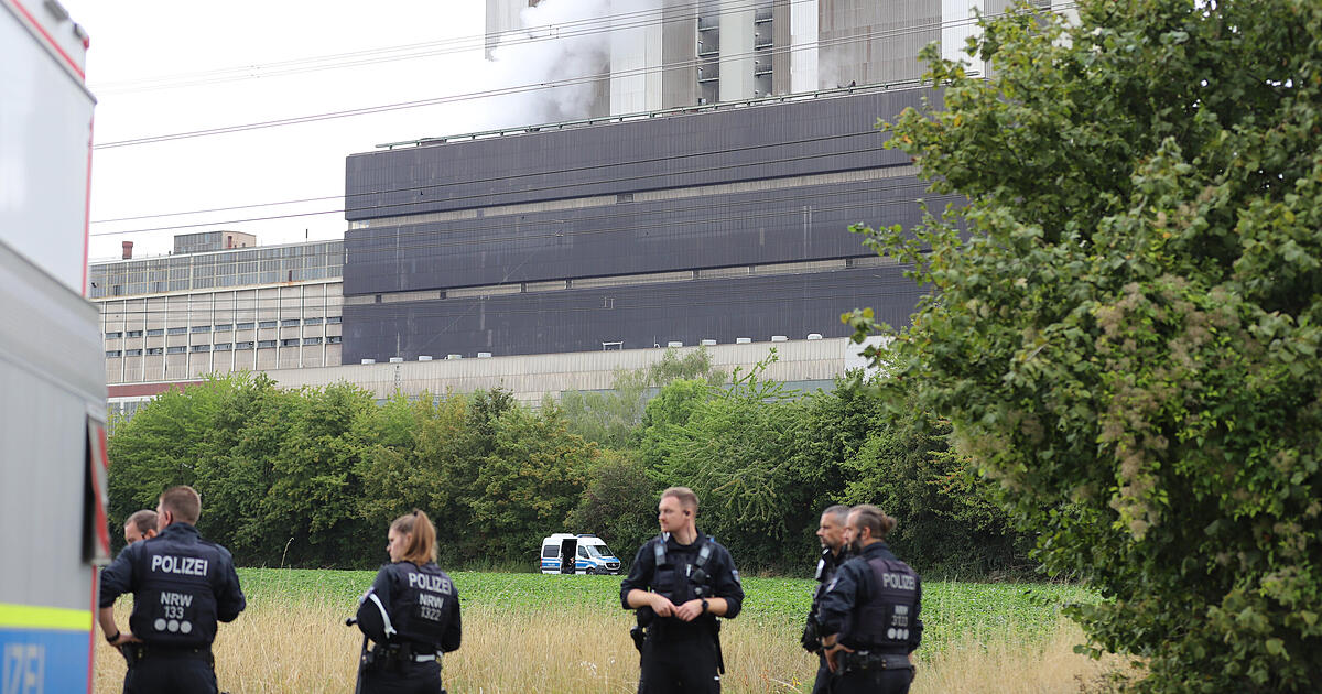 Power grid sabotage by 'climate terrorist': Suspect arrested