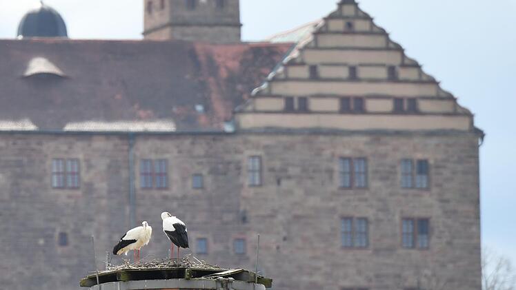Storchennest mit Burgblick - in der Blaich in KulmbachFoto: Achim Zeitler