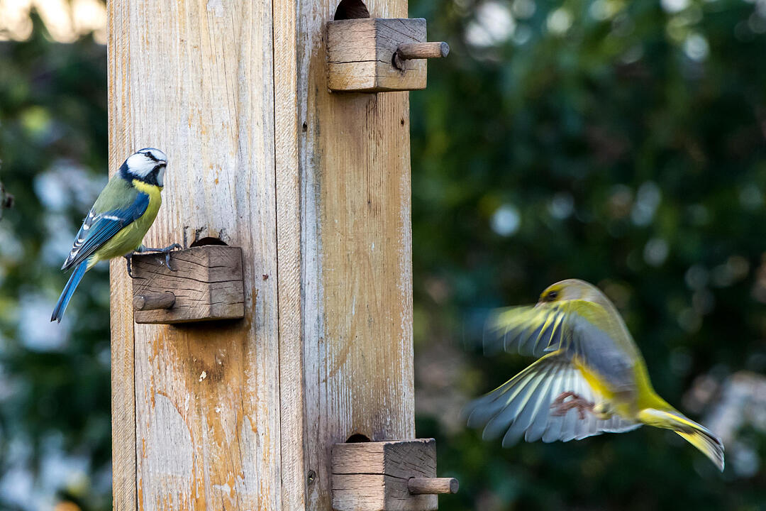 Fotos Konrad Thomann