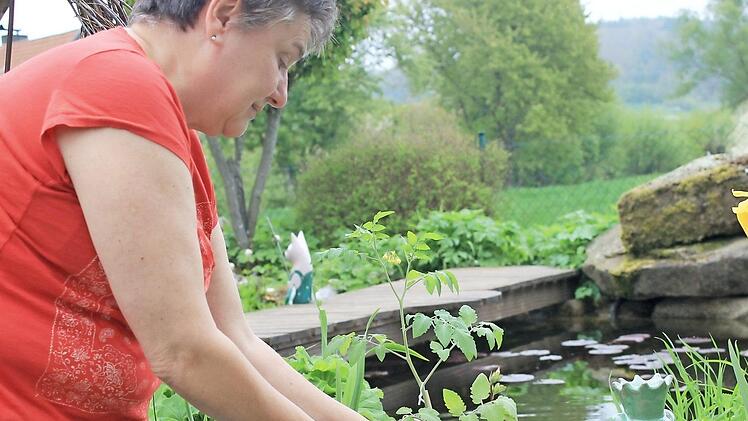 Helga Dressel beim Pflegen ihrer Tomatenpflanzen Foto: Dominic Buckreus