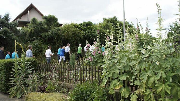 Königskerze (links) und Stockrosen (rechts) sorgen in diesem Garten in Theinheim für romantische Akzente. Alle Fotos: Sabine Weinbeer