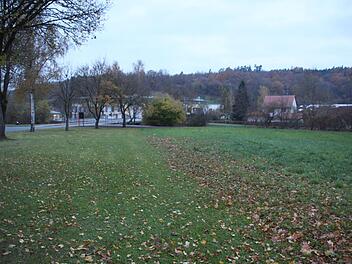 Auf dieser Weise unweit der Einfahrt zum Schul- und Sportgelände in Röhrig soll ein Festgelände entstehen, das auch als  Parkplatz genutzt werden könnte. Im Hintergrund sind die Arztpraxis Daneschwar (links) und die Firma Nici (Mitte) zu sehen.  Stephan Stöckel