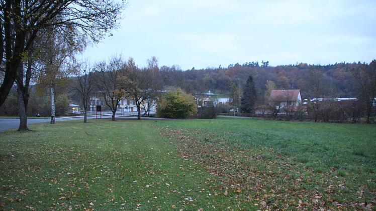 Auf dieser Weise unweit der Einfahrt zum Schul- und Sportgelände in Röhrig soll ein Festgelände entstehen, das auch als  Parkplatz genutzt werden könnte. Im Hintergrund sind die Arztpraxis Daneschwar (links) und die Firma Nici (Mitte) zu sehen.  Stephan Stöckel