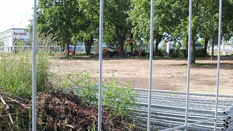 Derzeit wird der Eingang zur Gartenstadt entlang der Memmelsdorfer Straße umgestaltet: Das Gelände ist ökologische Ausgleichsfläche. Die Firma Brose will das Areal mit Natursteinen, Pflanzen und weiteren Bäumen aufwerten. Pünktlich zur Eröffnung des neuen Firmen-Standorts an der Breitenau (im Hintergrund) soll das Gelände fertig sein.  Foto: Sebastian Martin