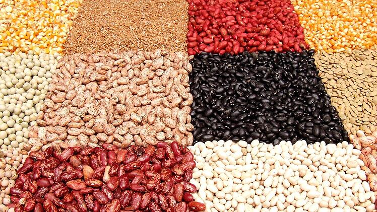 Hülsenfrüchte sind wegen ihres hohen Eiweißgehalt besonders wichtig für die vegane Ernährung.