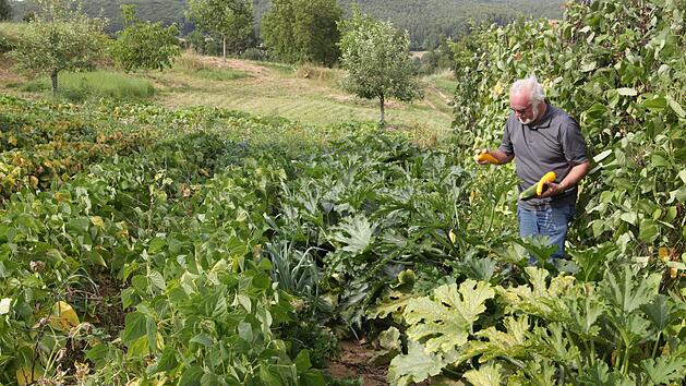 Jupp Schröder in seinem GartenFoto: Barbara Herbst