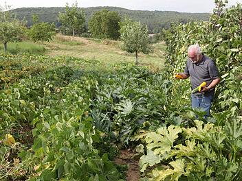 Jupp Schröder in seinem GartenFoto: Barbara Herbst