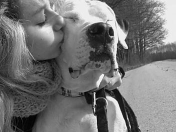 Eines der mehar als 700 Hundefotos, die uns die inFranken-Leser geschickt haben. Foto: inFrankenPix-Nutzerin: line_ek99