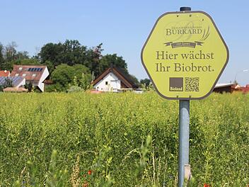 Auf diesem Gelände plant die Bäckerei Burkard die Erweiterung ihres Betriebes (rechts im Hintergrund).     Foto: Franziska Rieger (Archiv)