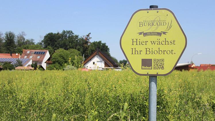 Auf diesem Gelände plant die Bäckerei Burkard die Erweiterung ihres Betriebes (rechts im Hintergrund).     Foto: Franziska Rieger (Archiv)