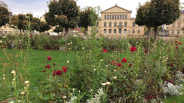 Die Stadt Coburg gibt Mangold und Blumen, die am Samstag im Rondell des Schlossplatzes geerntet werden, kostenlos an interessierte Bürger ab, bittet aber um eine Spende für die Coburger Tafel.Oliver Schmidt