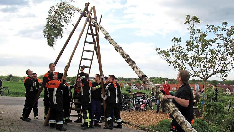 Die Jungfeuerwehrler wuchteten den Maibaum in die Höhe. Foto: Richard Sänger