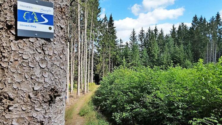 Der Dörnach-Steig führt durch die hügelige Landschaft bei Wallenfels. Foto: Archiv