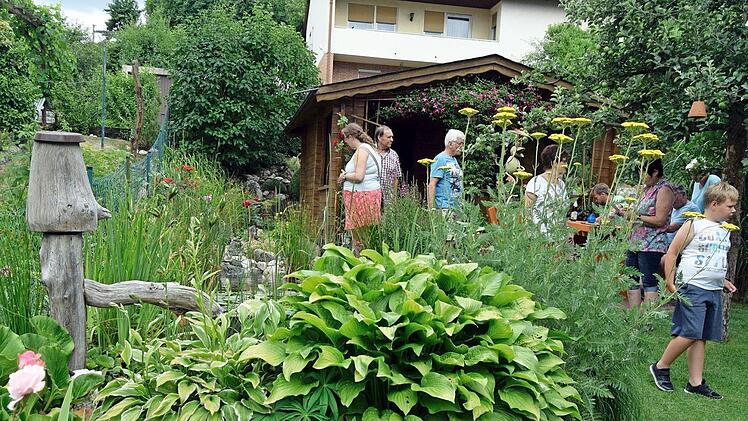 Ökologische Nischen und einen Prachtrasen präsentierte die Familie Foltes in Mainroth.