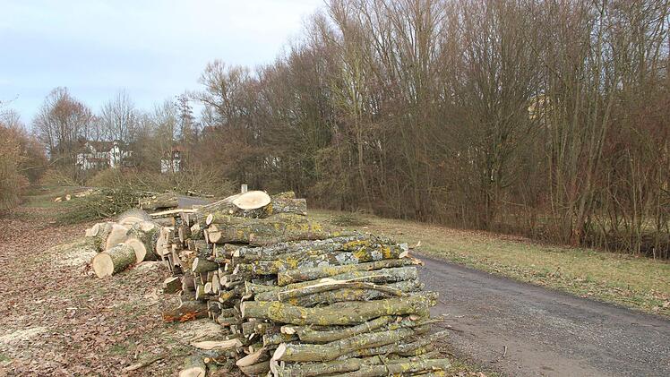 Im Jörgentorpark wird neben dem Kinderspielplatz auch der Dammweg verbessert.Heike Beudert