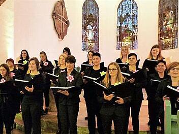 Die Sängervereinigung feierte 175. Geburtstag und präsentierte dem Publikum das Vocalensemble Coburg in der Johanniskirche in Bad Rodach.  Foto: Gerhard Wolf