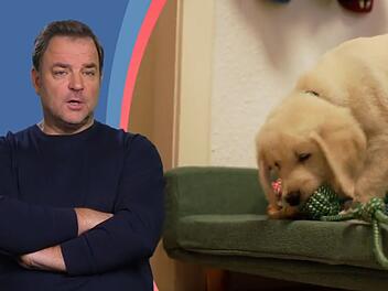 Zum Auftakt der neuen Staffel "Die Welpen kommen - mit Martin Rütter" erneuert der Hundetrainer einen von ihm oft gehörten Aufruf: Man sollte keine Welpen im Internet kaufen.