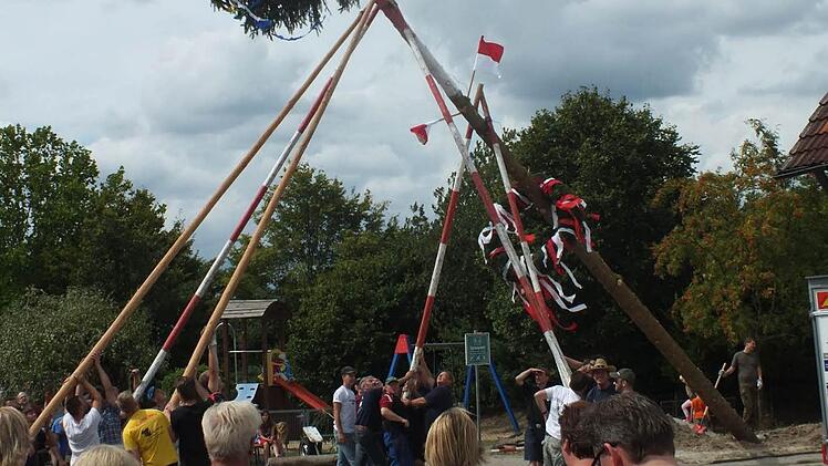 In Niederlindach (Kreis Erlangen-Höchstadt) stürzte kürzlich ein Kerwabaum beim Aufstellen wieder um.  Foto: maw