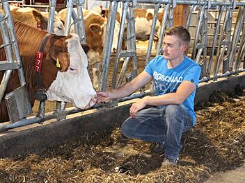 Christian Deringer hat mit seinen Kühen ein vertrautes Verhältnis. Fotos: Helmut Will