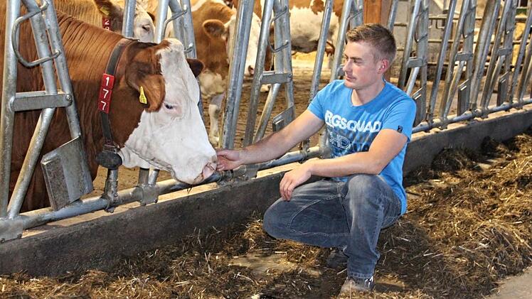 Christian Deringer hat mit seinen Kühen ein vertrautes Verhältnis. Fotos: Helmut Will