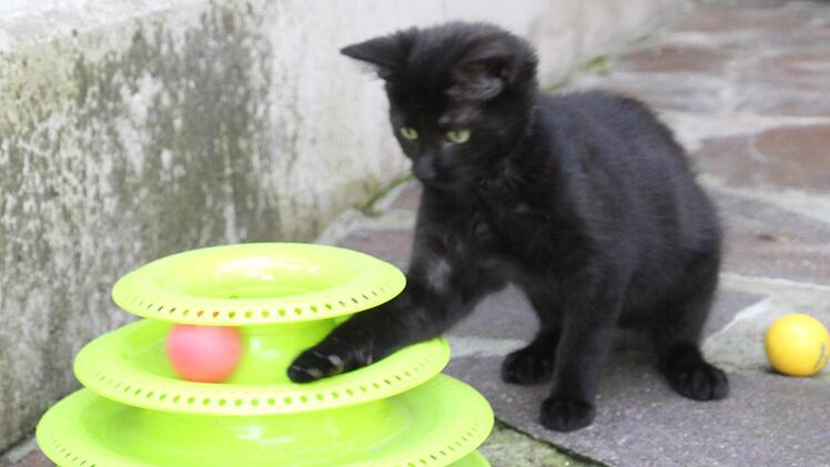 Nalas Schwester Nena spielt mit dem Ball.