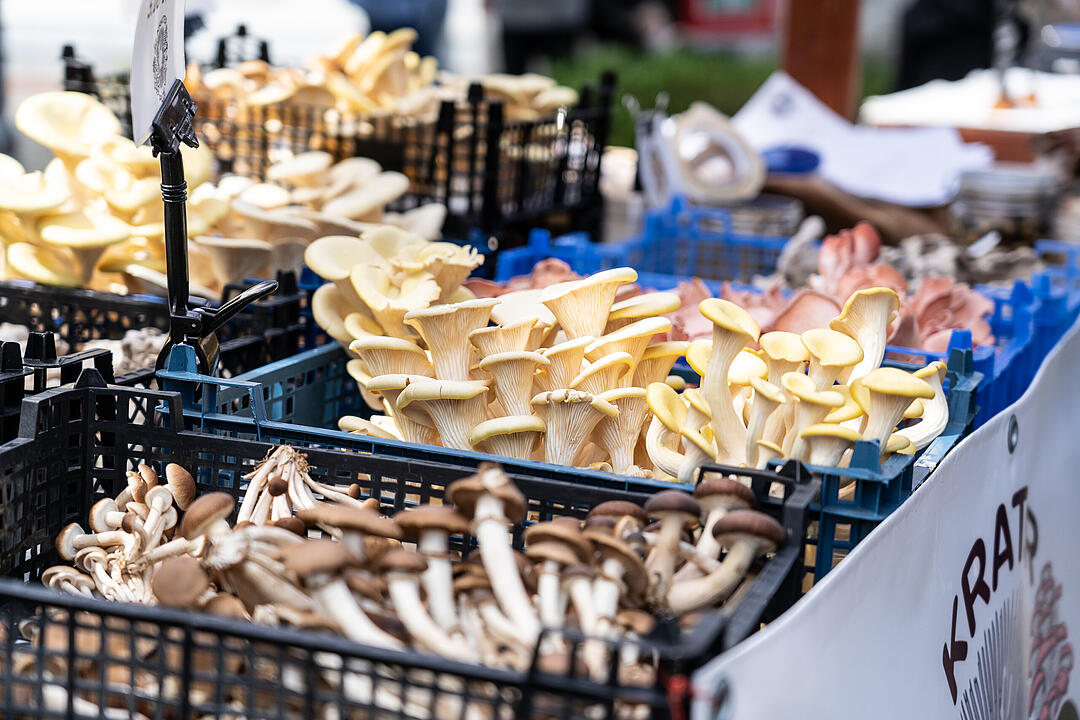 Die Premiere des Food-Festival lockte tausende Besucher an und war ein Mega-Erfolg.