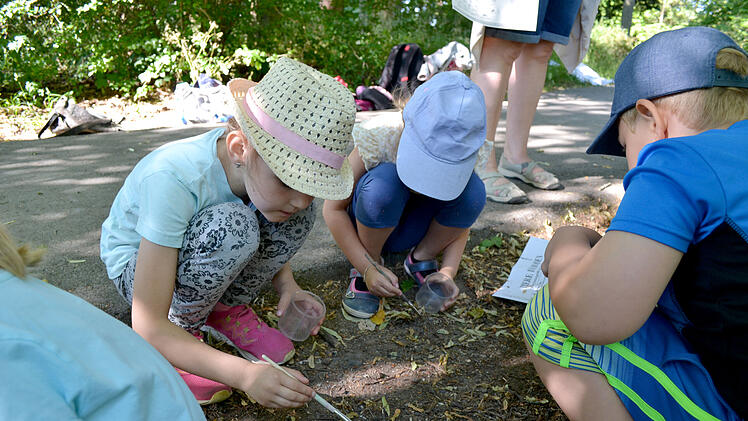 Coburg: Mit Spaten, Lupe und Sonnenschein - 230 Kinder entdecken "die Welt unter unseren F&uuml;&szlig;en"