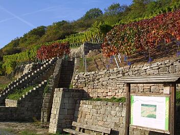 Das Abt-Degen-Weintal verfügt über eine gewachsene Kulturlandschaft - ein touristisches Potenzial, das werblich mehr ausgenutzt werden sollte, wie der Fachberater empfahl. Foto: Archiv