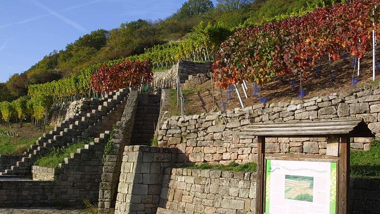 Das Abt-Degen-Weintal verfügt über eine gewachsene Kulturlandschaft - ein touristisches Potenzial, das werblich mehr ausgenutzt werden sollte, wie der Fachberater empfahl. Foto: Archiv