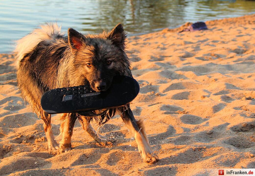 So genießt Franken den Sommer