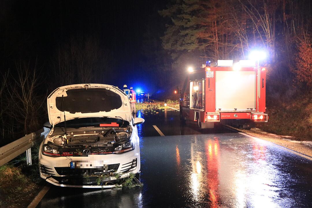Vorsätzlich angesägt: 18 Meter Stamm liegt plötzlich auf der Straße