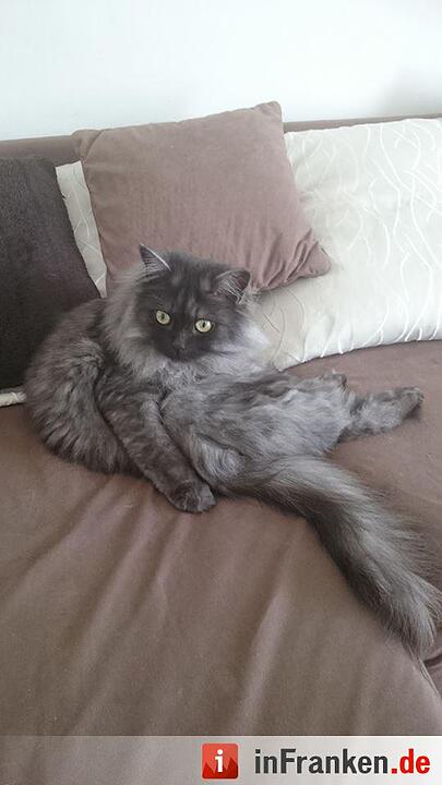 Foto: Claudia Speedy Raab