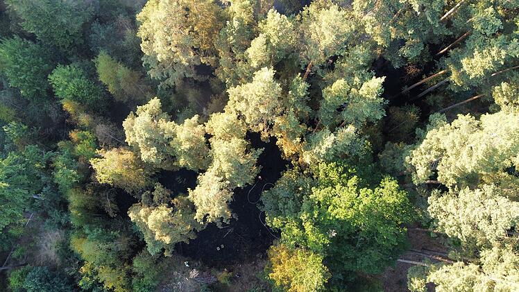 Waldbrand ruft Feuerwehr auf den Plan: Rund 20 Hektar stehen in Flammen